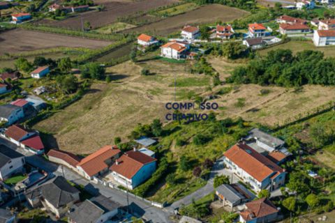 Terra a Longos, Braga, Longos - € 700.000 | Ref: 230120251 - foto 15